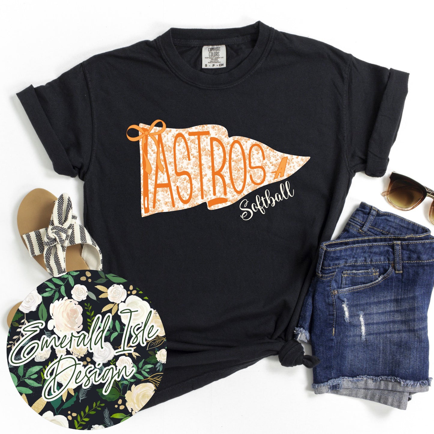 Astros Softball Toile Pennant Design