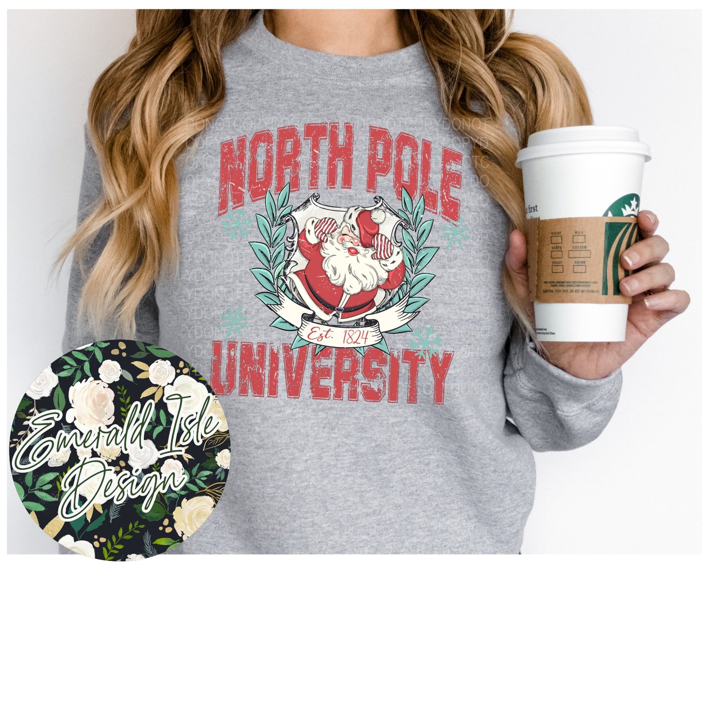 North Pole University Design